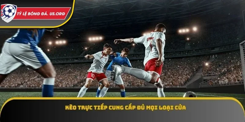 Kèo trực tiếp cung cấp đủ mọi loại cửa