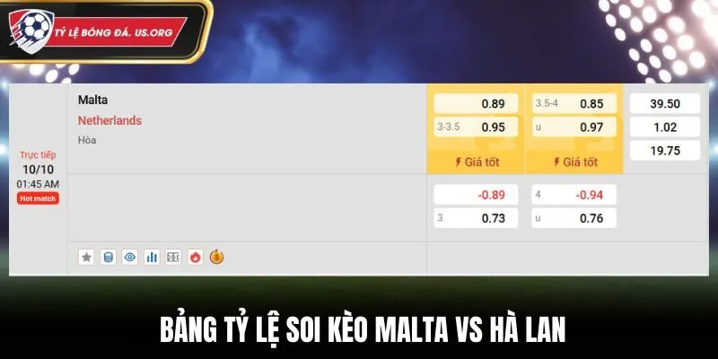 Soi kèo Malta vs Hà Lan - bảng tỷ lệ kèo cược